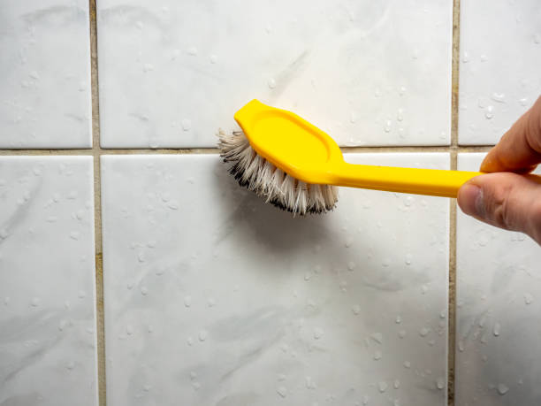 Best Water Damage Restoration  in Mount Holly, NC