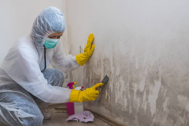 Best Crawl Space Mold Removal  in Mount Holly, NC