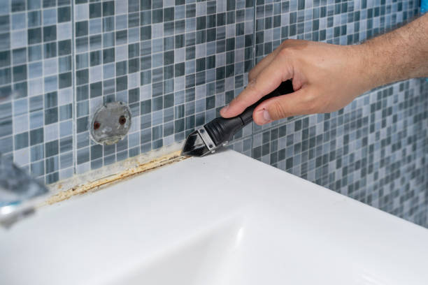 Best Commercial Mold Removal  in Mount Holly, NC