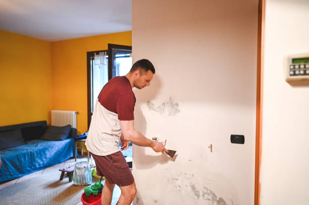 Certified Mold Removal in Mount Holly, NC